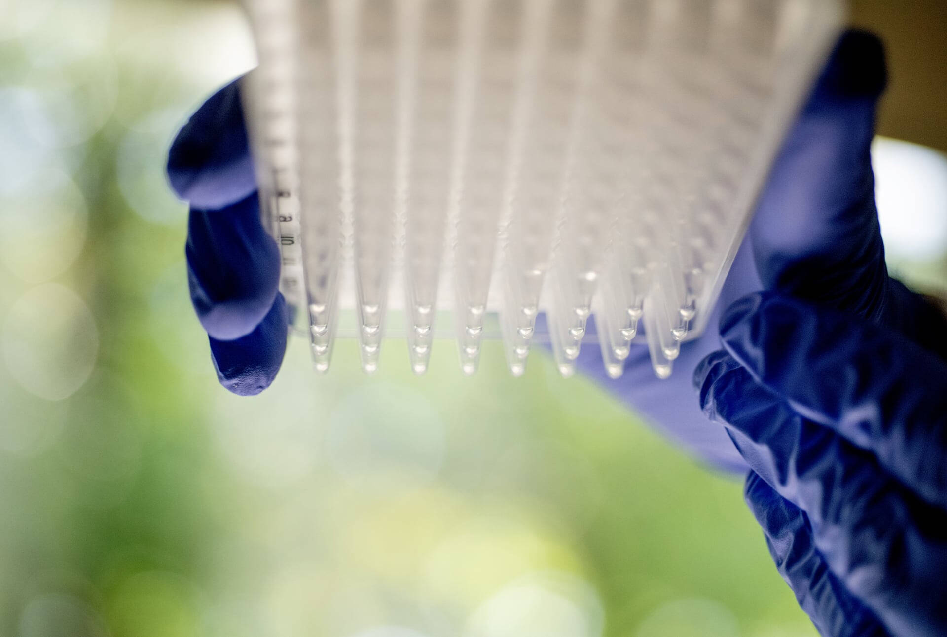 Student holding up qPCR reagents.